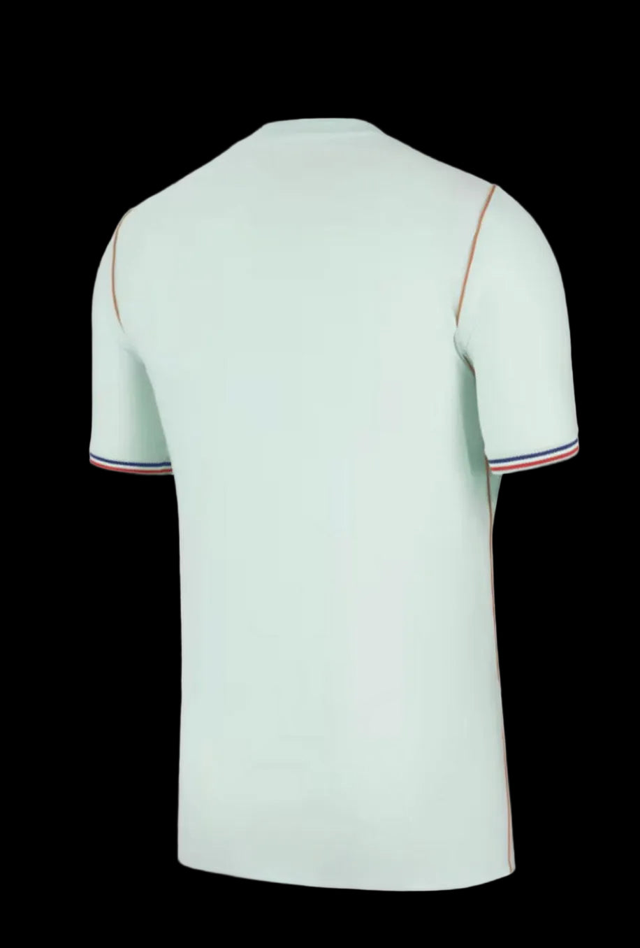 Camiseta Francia